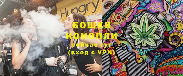 mdpv Белокуриха