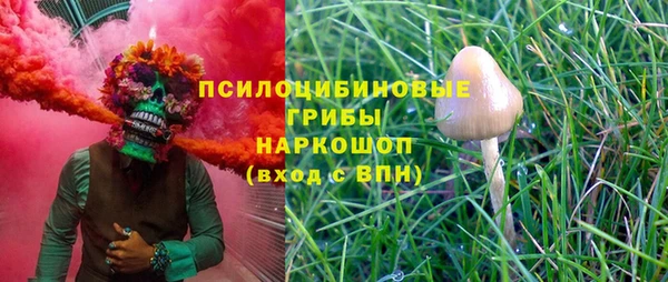 mdpv Белокуриха